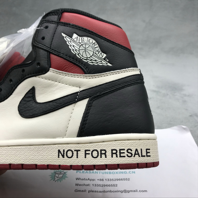 Authentic Air Jordan 1 NRG No L's 